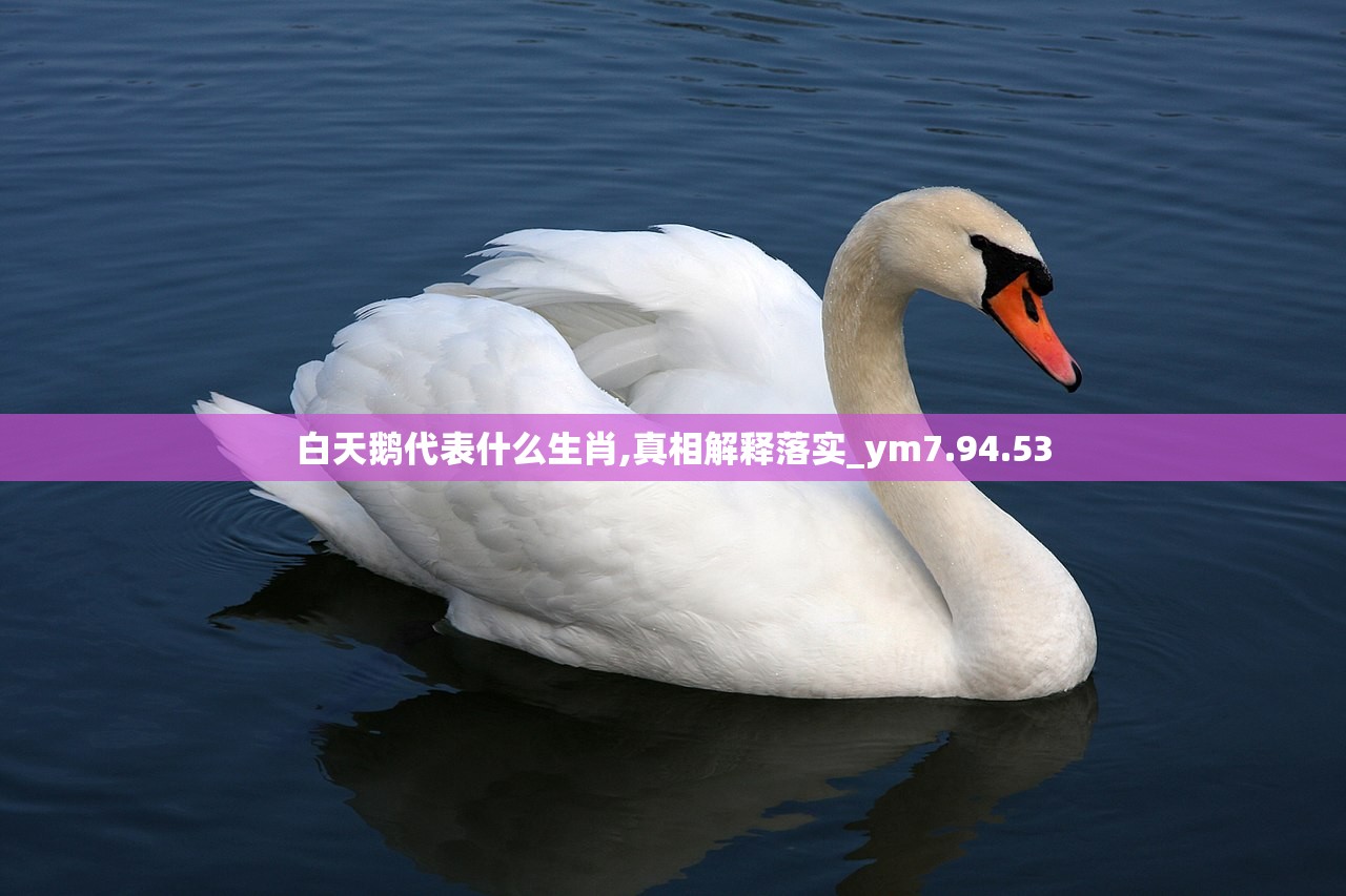 白天鹅代表什么生肖,真相解释落实_ym7.94.53