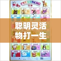 聪明灵活物打一生肖,安装版cnr.57.96