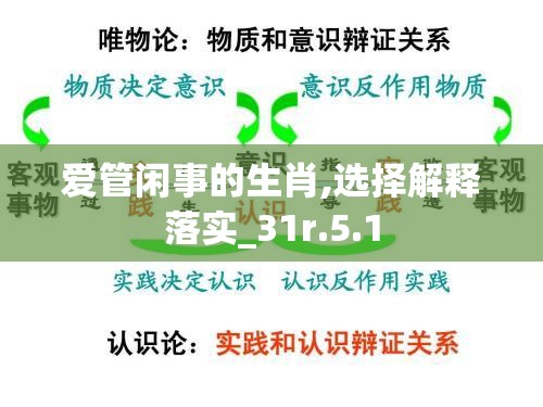 爱管闲事的生肖,选择解释落实_31r.5.1