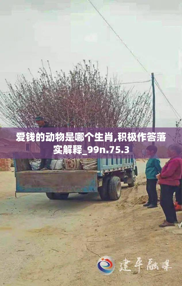 爱钱的动物是哪个生肖,积极作答落实解释_99n.75.3