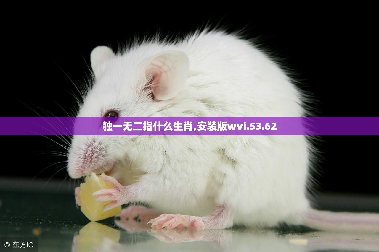 独一无二指什么生肖,安装版wvi.53.62
