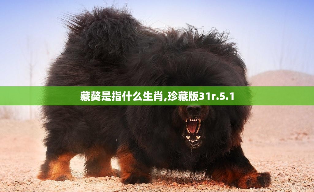 藏獒是指什么生肖,珍藏版31r.5.1