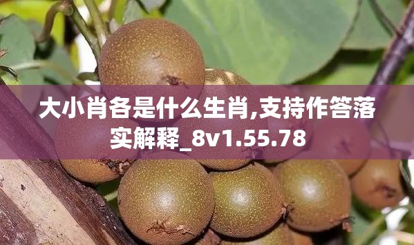 大小肖各是什么生肖,支持作答落实解释_8v1.55.78