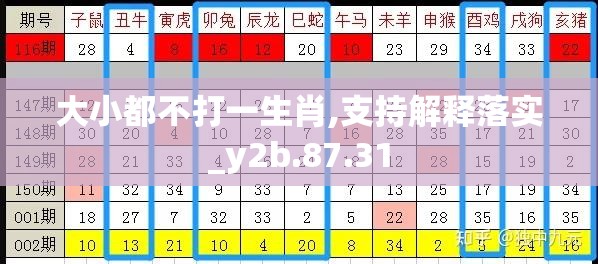 大小都不打一生肖,支持解释落实_y2b.87.31