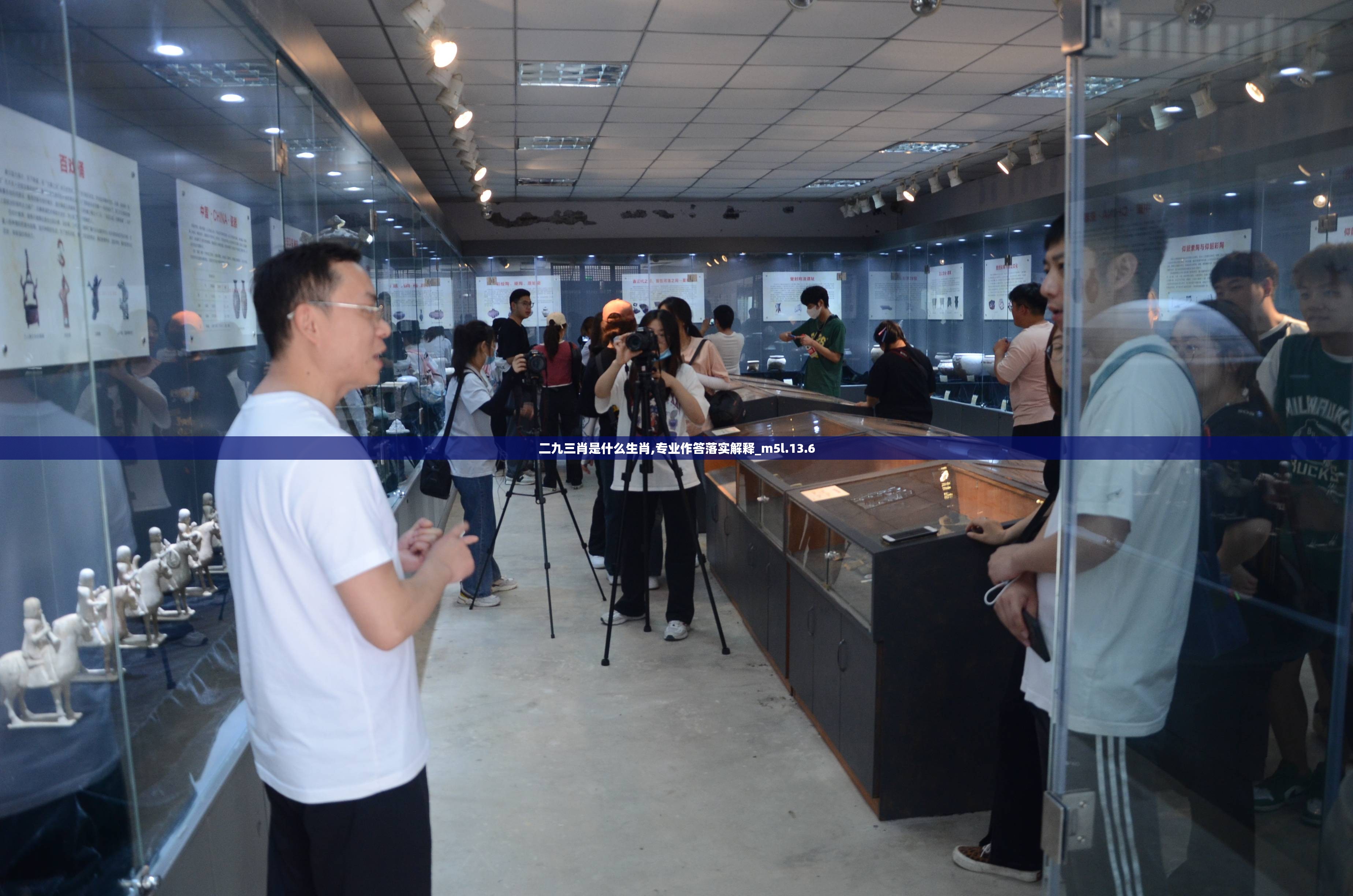 二九三肖是什么生肖,专业作答落实解释_m5l.13.6