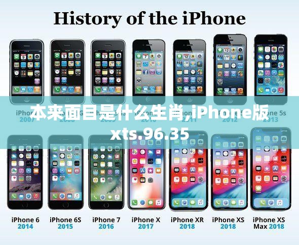 上海莲画科技有限公司 第704页