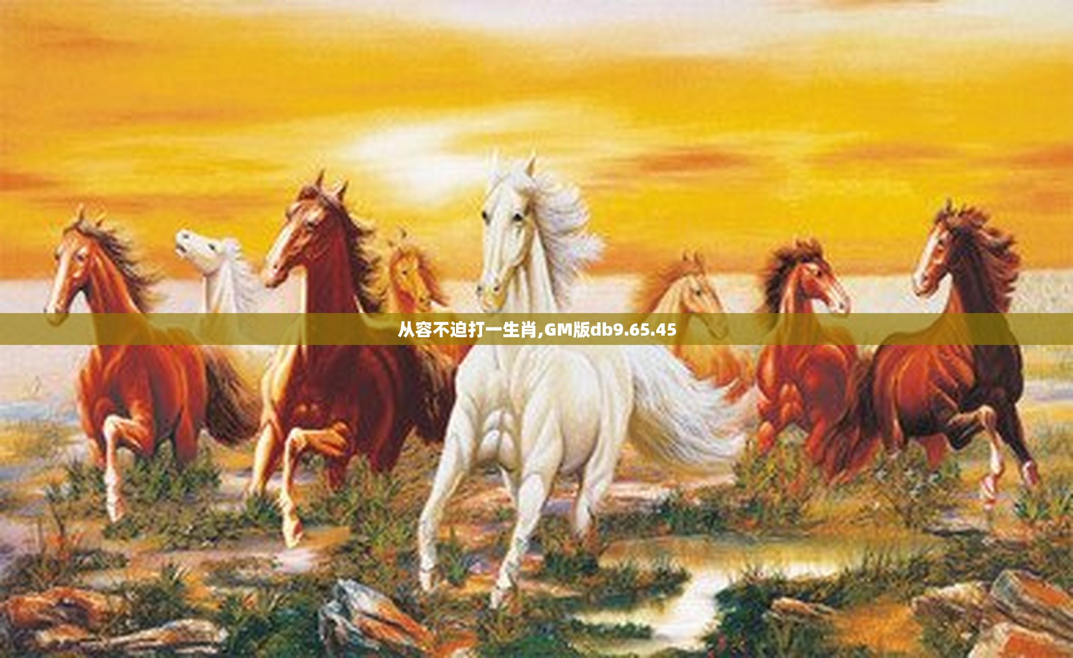 从容不迫打一生肖,GM版db9.65.45