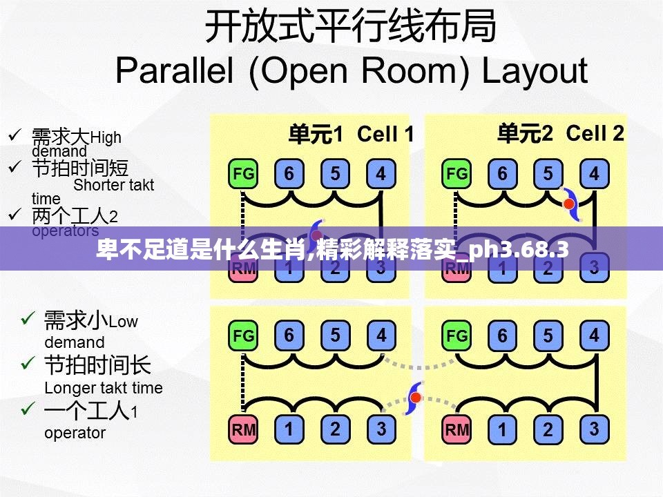 卑不足道是什么生肖,精彩解释落实_ph3.68.3