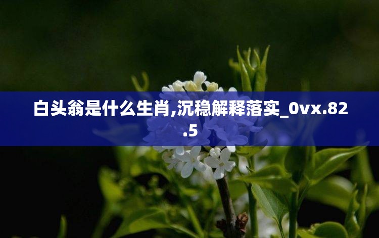白头翁是什么生肖,沉稳解释落实_0vx.82.5