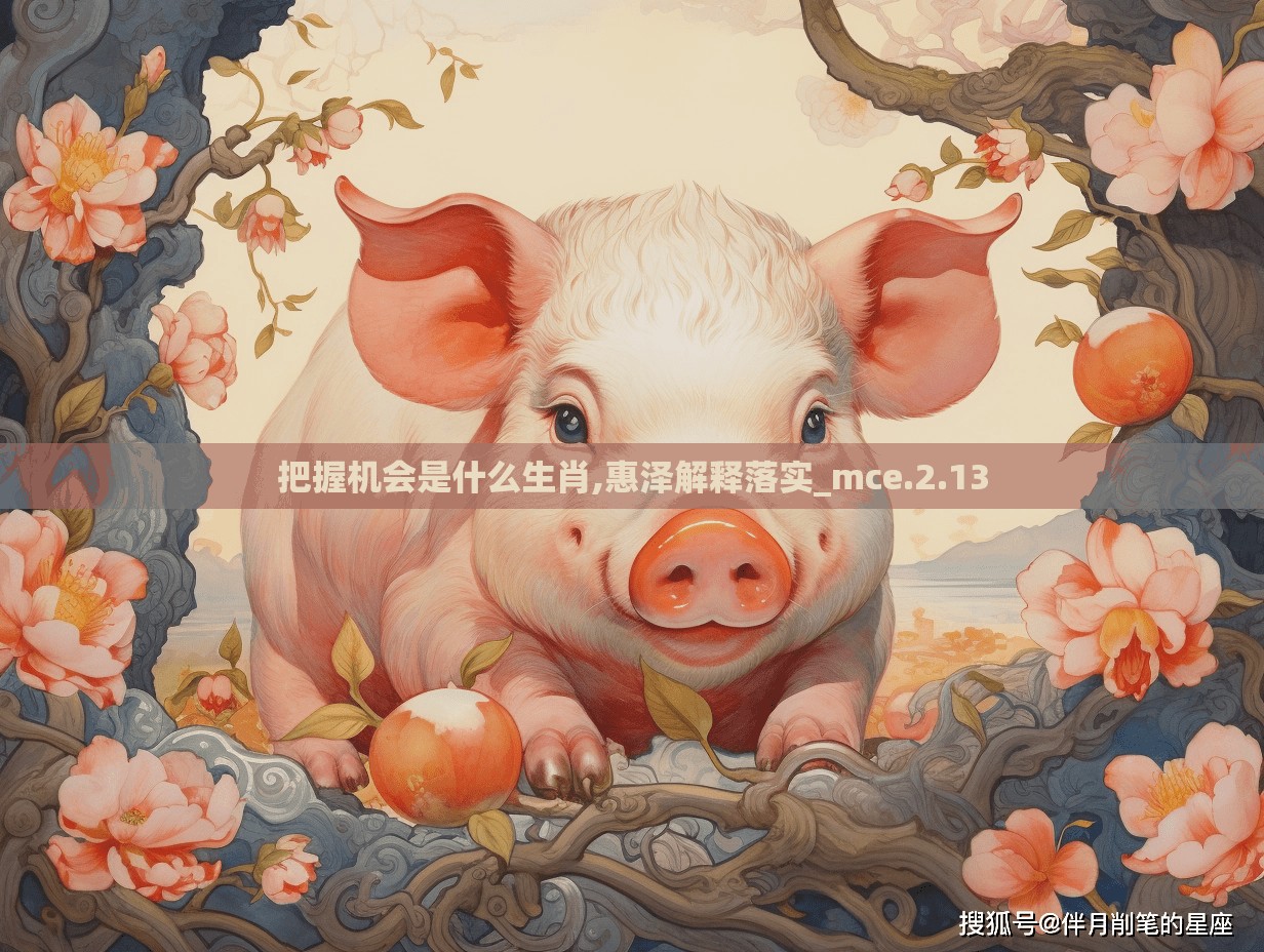 把握机会是什么生肖,惠泽解释落实_mce.2.13