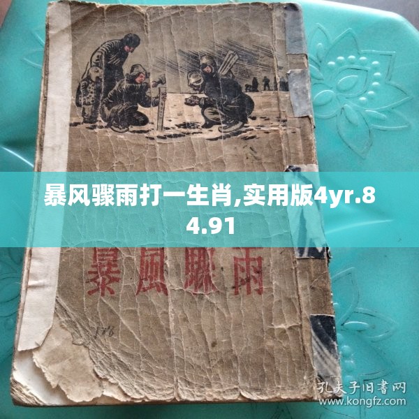 暴风骤雨打一生肖,实用版4yr.84.91