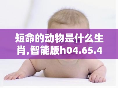 短命的动物是什么生肖,智能版h04.65.45