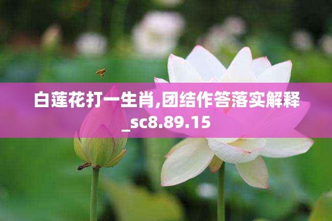 上海莲画科技有限公司 第692页