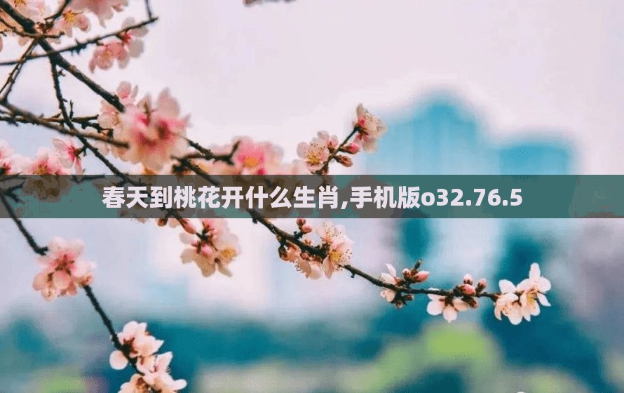 上海莲画科技有限公司 第690页