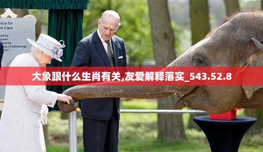 大象跟什么生肖有关,友爱解释落实_543.52.8