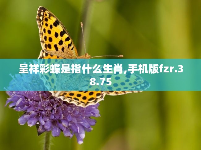 呈祥彩蝶是指什么生肖,手机版fzr.38.75