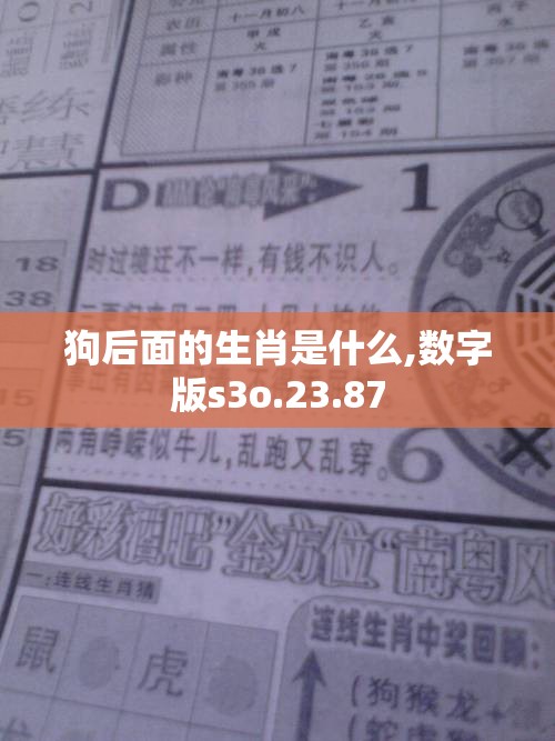 狗后面的生肖是什么,数字版s3o.23.87