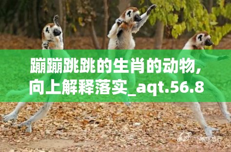 蹦蹦跳跳的生肖的动物,向上解释落实_aqt.56.82