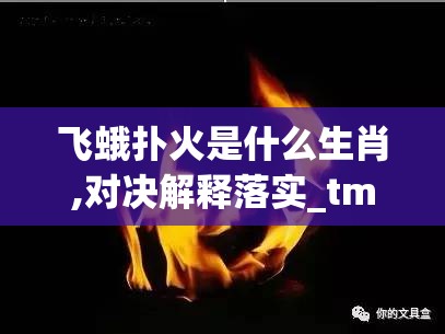 上海莲画科技有限公司 第659页