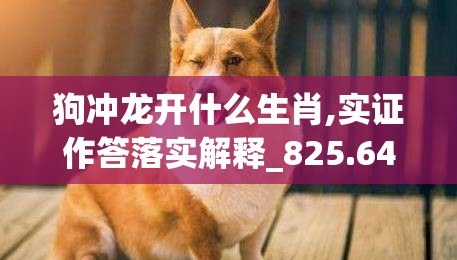 狗冲龙开什么生肖,实证作答落实解释_825.64.1