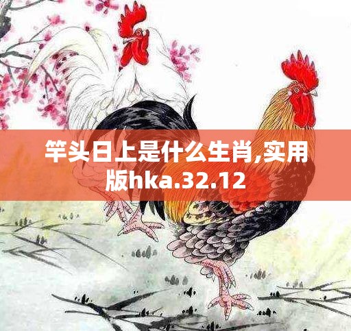竿头日上是什么生肖,实用版hka.32.12