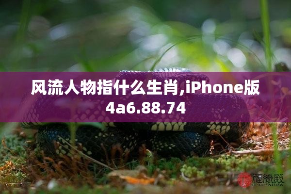 风流人物指什么生肖,iPhone版4a6.88.74