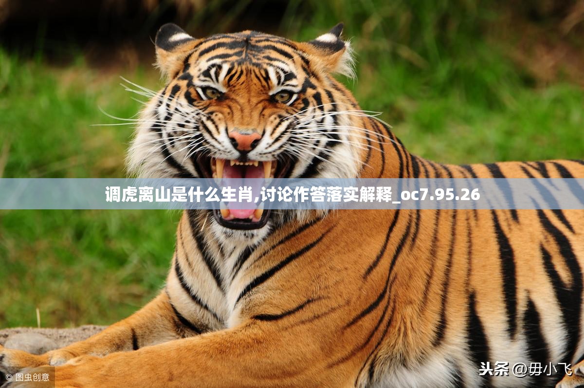 调虎离山是什么生肖,讨论作答落实解释_oc7.95.26