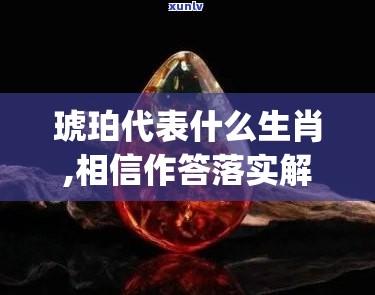 琥珀代表什么生肖,相信作答落实解释_8id.76.5