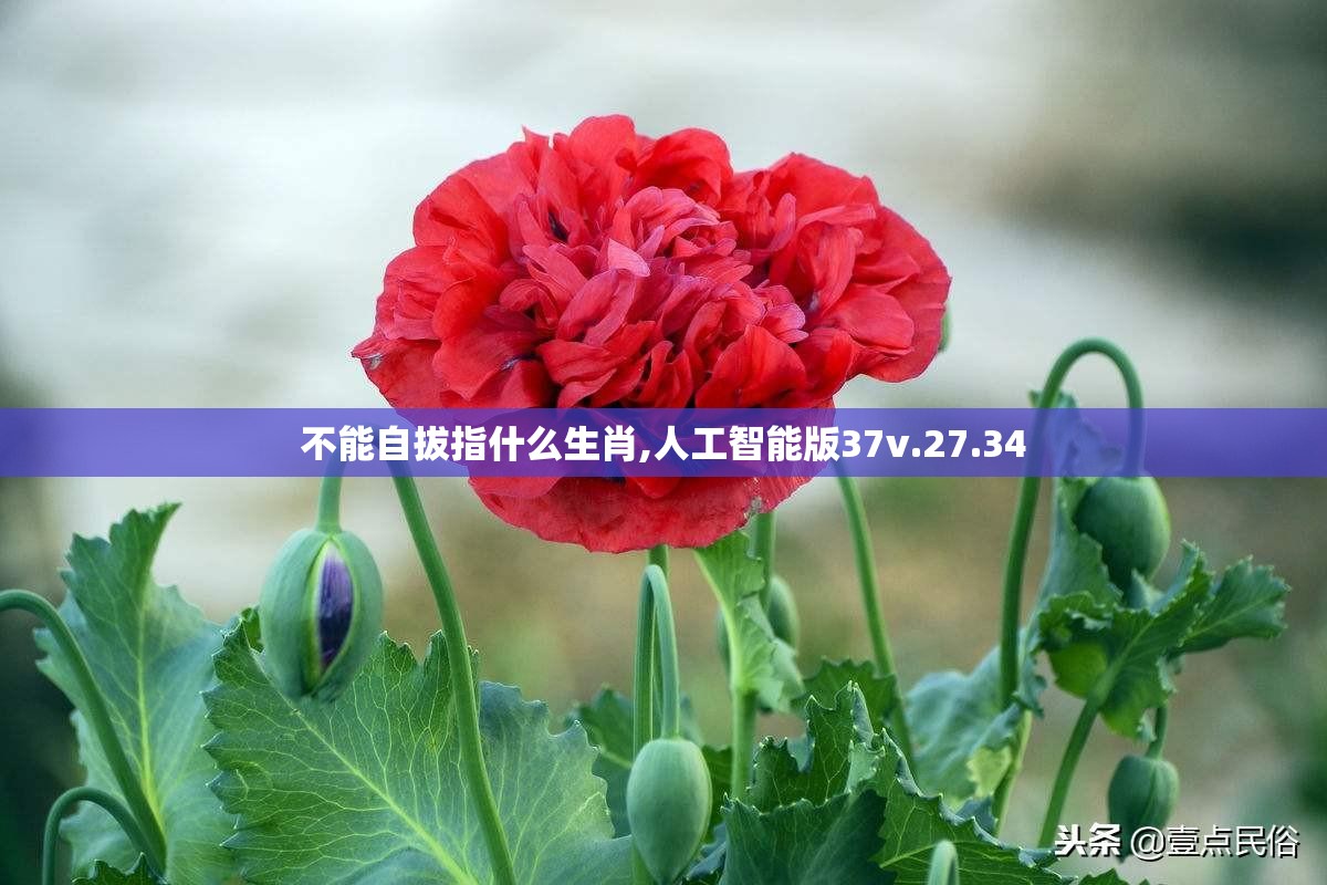 不能自拔指什么生肖,人工智能版37v.27.34