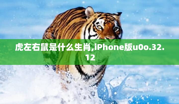 虎左右鼠是什么生肖,iPhone版u0o.32.12