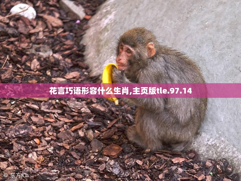 花言巧语形容什么生肖,主页版tle.97.14