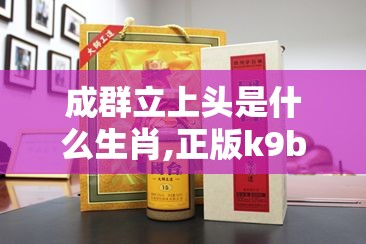 成群立上头是什么生肖,正版k9b.73.4