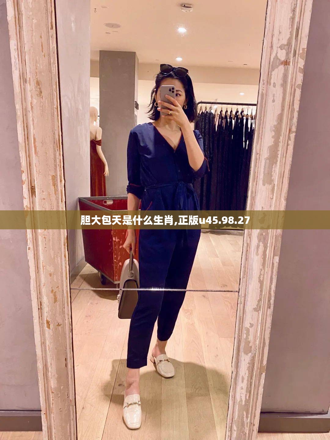 胆大包天是什么生肖,正版u45.98.27