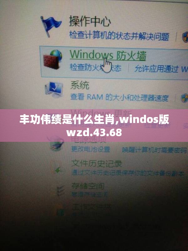 丰功伟绩是什么生肖,windos版wzd.43.68