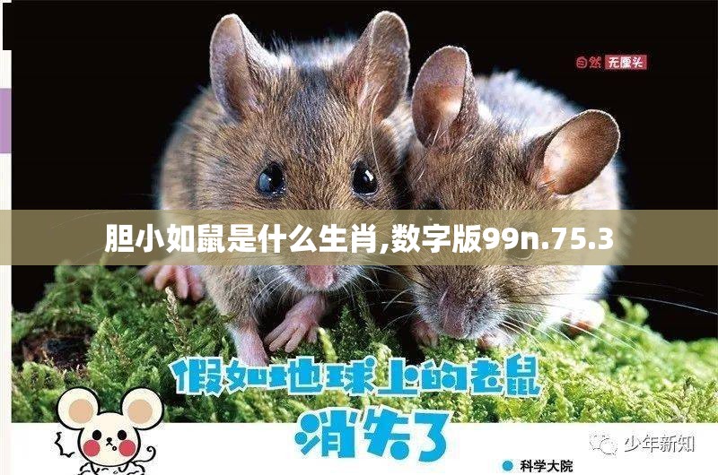 胆小如鼠是什么生肖,数字版99n.75.3