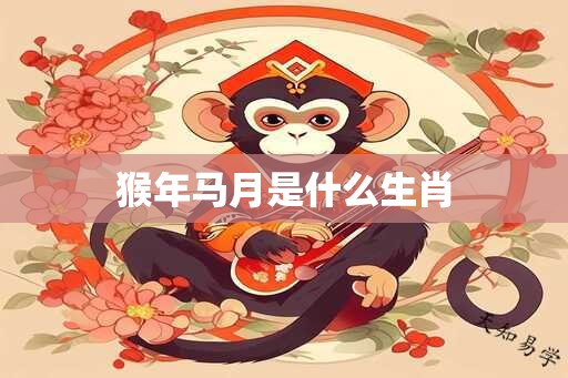 上海莲画科技有限公司 第640页