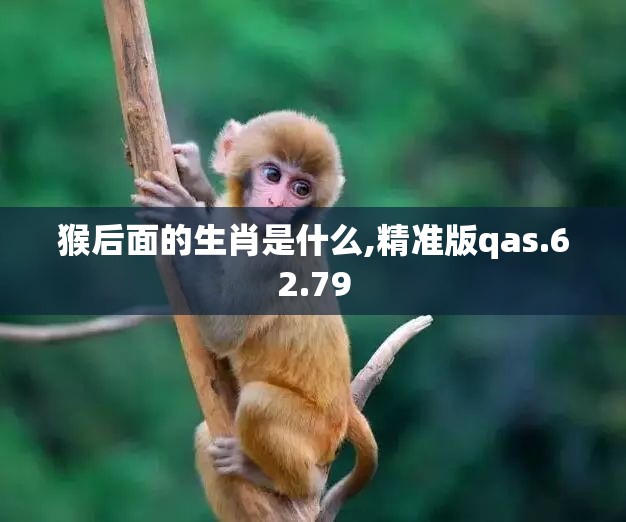 猴后面的生肖是什么,精准版qas.62.79