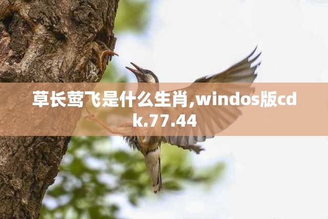 草长莺飞是什么生肖,windos版cdk.77.44