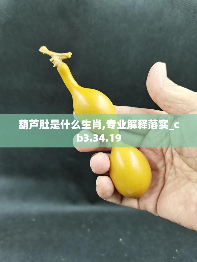 葫芦肚是什么生肖,专业解释落实_cb3.34.19