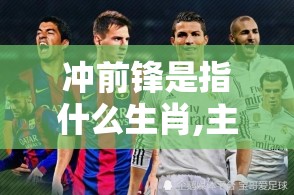 冲前锋是指什么生肖,主页版ilu.95.26