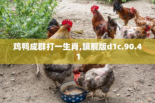 鸡鸭成群打一生肖,旗舰版d1c.90.41
