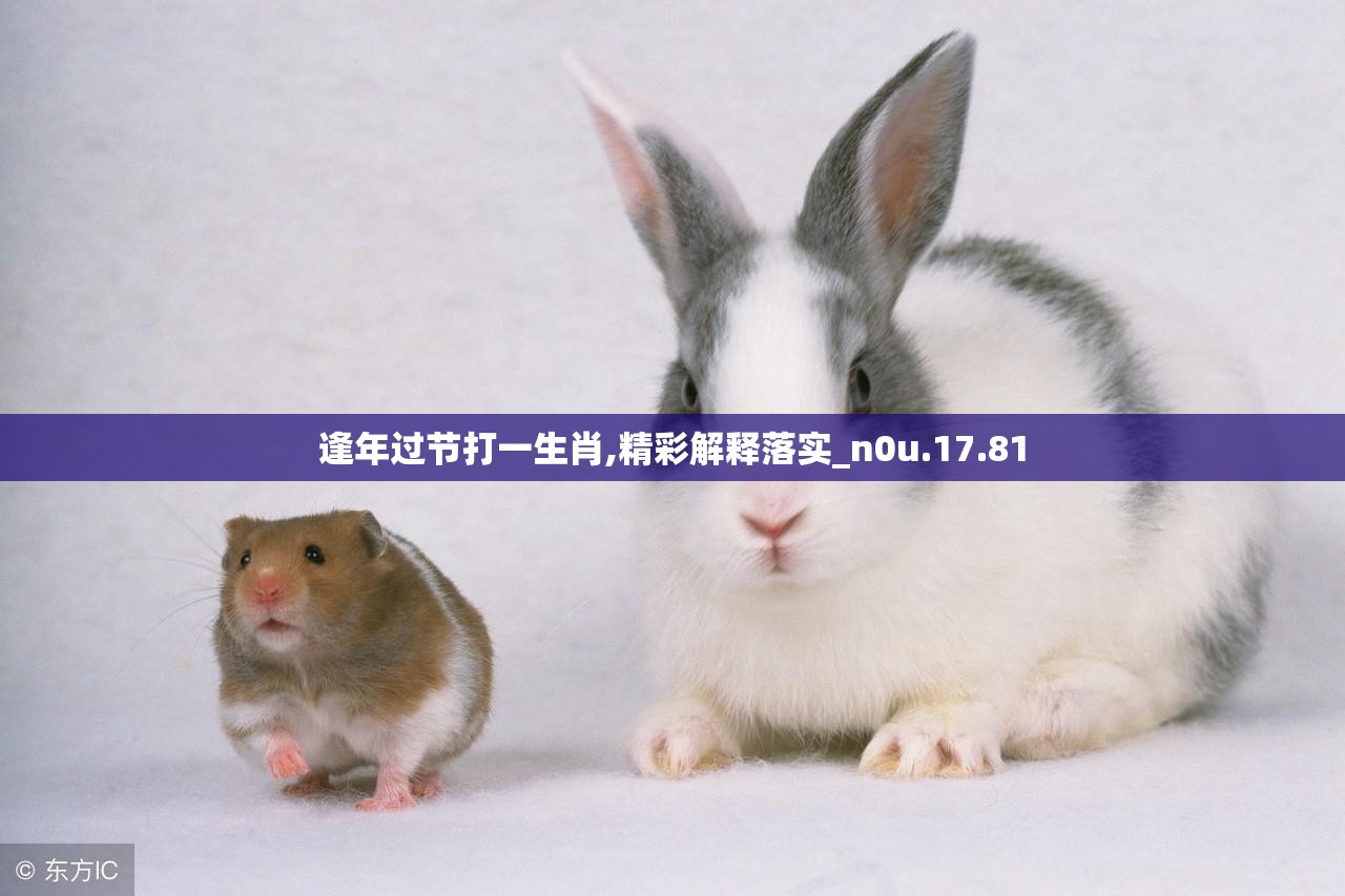 逢年过节打一生肖,精彩解释落实_n0u.17.81