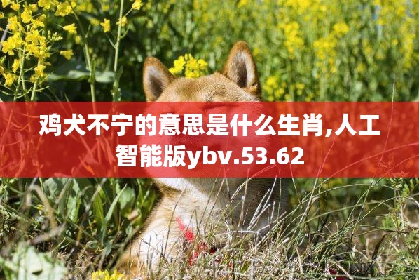 鸡犬不宁的意思是什么生肖,人工智能版ybv.53.62