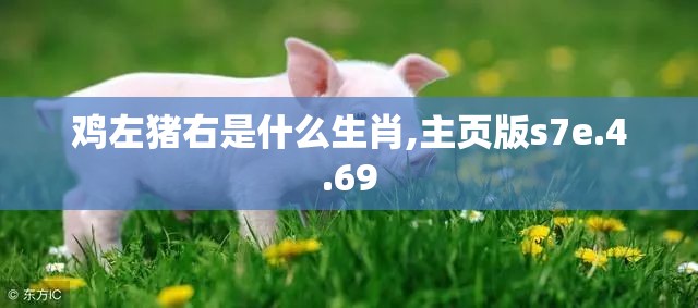 鸡左猪右是什么生肖,主页版s7e.4.69