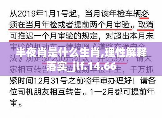 半夜肖是什么生肖,理性解释落实_jlf.14.66