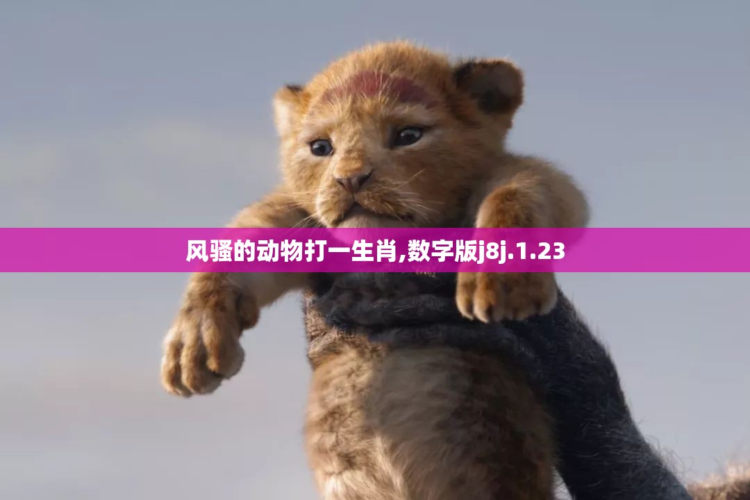 上海莲画科技有限公司 第623页