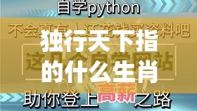独行天下指的什么生肖,最佳解释落实_py2.32.12