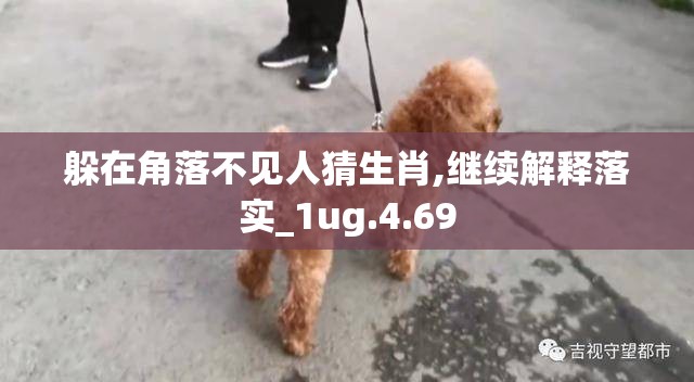 躲在角落不见人猜生肖,继续解释落实_1ug.4.69