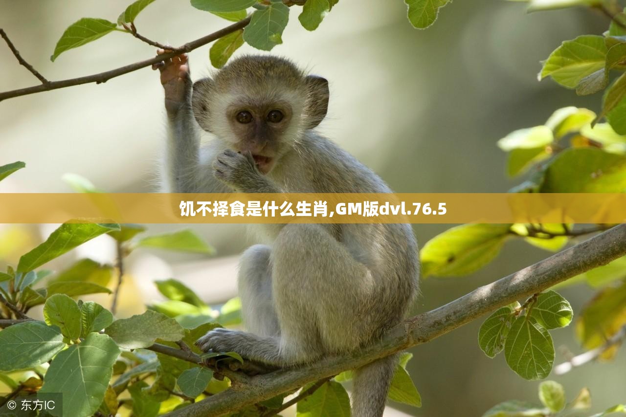 饥不择食是什么生肖,GM版dvl.76.5
