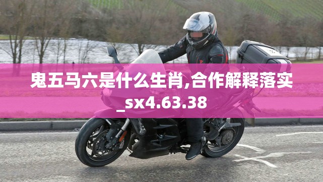 鬼五马六是什么生肖,合作解释落实_sx4.63.38